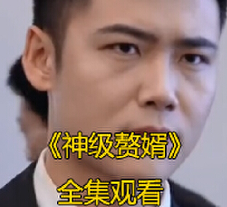神级赘婿1-100集大结局免费观看