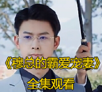 穆总的霸爱宠妻大结局免费看