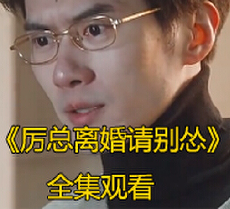 厉总离婚请别怂100集完整版免费看