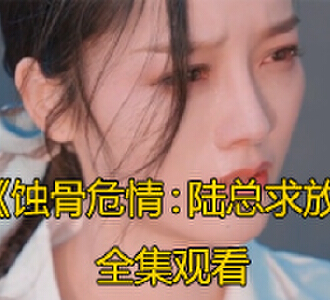 蚀骨危情陆总求放过大结局免费看