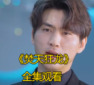 焚天狂龙1-100集完整版免费看