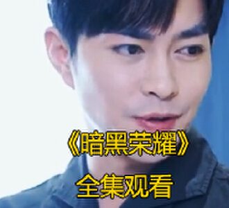 暗黑荣耀1-80集完整版免费观看