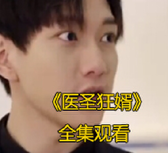 医圣狂飙全集完整版免费观看