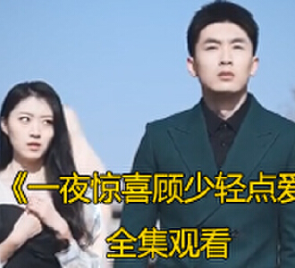 一夜惊喜顾少轻点爱1-100集完整版免费看