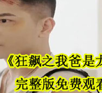 狂飙之我爸是龙王全集完整版免费看