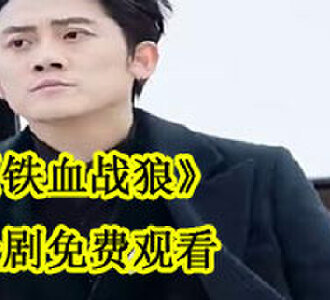 铁血战狼电视剧全剧免费看