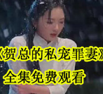 贺总的私宠罪妻全集免费观看
