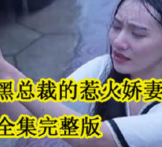 腹黑总裁的惹火娇妻全集完整版