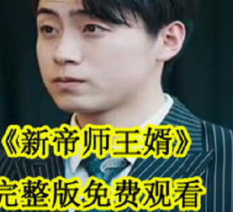新帝师王婿完整版免费观看