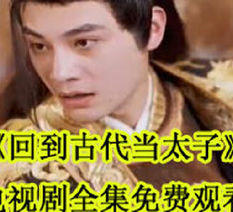 回到古代当太子李辰电视剧全集免费观看