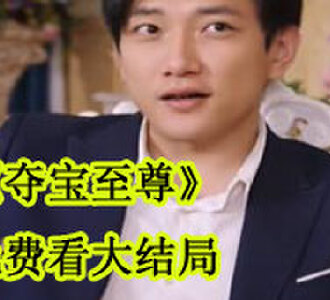 夺宝至尊免费看大结局