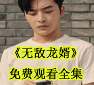 无敌龙婿高阳免费观看全集