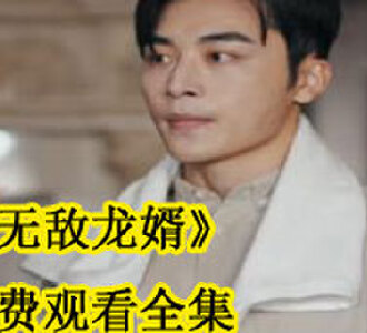无敌龙婿免费观看全集