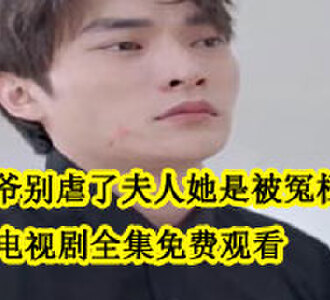 战爷别虐了夫人她是被冤枉的云汐战司寒电视剧全集免费观看