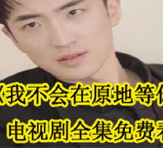 我不会在原地等你电视剧在哪看