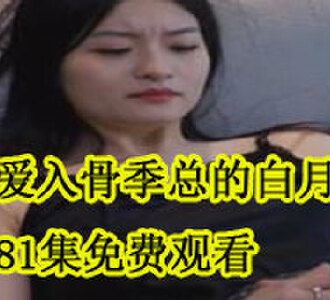 噬爱入骨季总的白月光81集免费观看