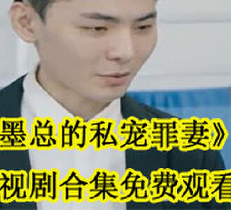 墨总的私宠罪妻电视剧在线观看