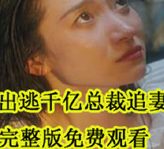 有孕出逃千亿总裁追妻成魔完整版免费观看
