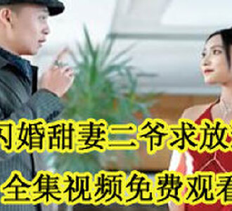 闪婚甜妻二爷求放过全集视频免费观看