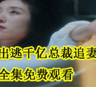 有孕出逃千亿总裁追妻成魔秦舒顾清焱全集免费观看