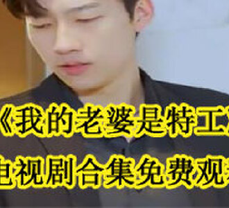 我的老婆是特工电视剧免费观看