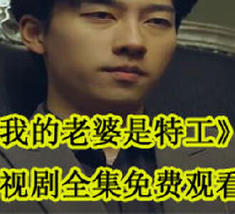 我的老婆是特工段廷晏乔云筝电视剧全集免费观看