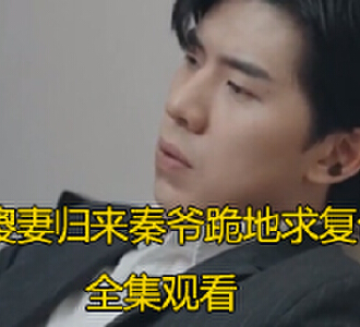 傻妻归来秦爷跪地求复合完整版全集观看