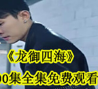 龙御四海100集全集免费观看