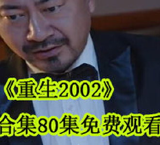 重生2002合集80集免费观看