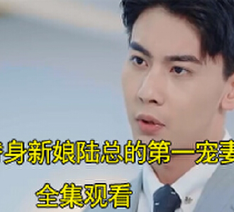 替身新娘陆总的第一宠妻短剧视频在哪里看