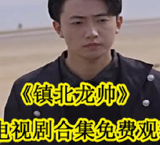 镇北龙帅大结局在哪看