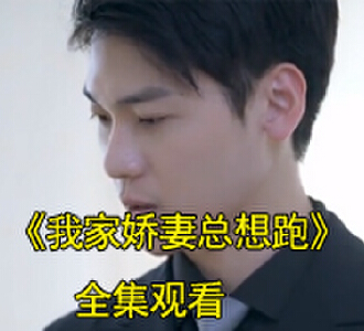 我家娇妻总想跑1-100集免费观看