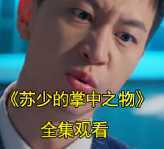 苏少的掌中之物短剧视频免费观看