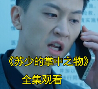 苏少的掌中之物易海知道真相小说短剧结局怎么样