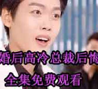 离婚后高冷总裁后悔了陆神医完整版免费观看