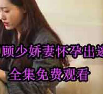 顾少娇妻怀孕出逃全集免费观看