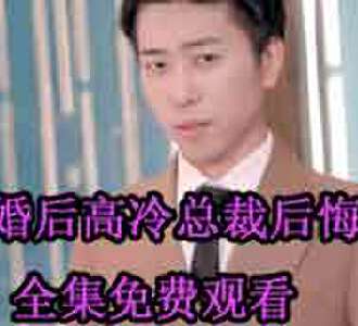 离婚后高冷总裁后悔了陆尘网剧免费观看