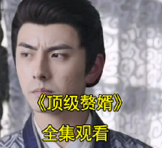 顶级赘婿短剧一口气看完