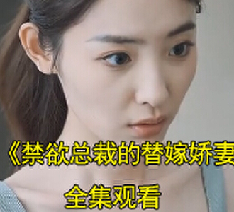 禁欲总裁的替嫁娇妻9-100集在线观看