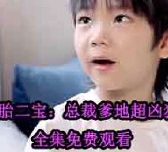 一胎二宝：总裁爹地超凶猛电视剧免费观看