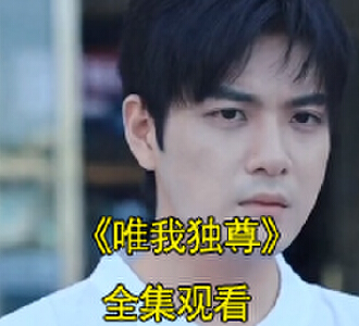 轩辕战天林雨晴都市小说短剧叫什么名字