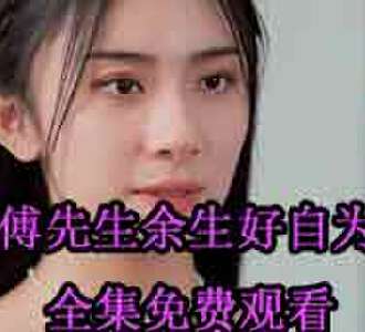 傅北辰林念的小说短剧叫什么