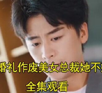 婚礼作废美女总裁她不嫁了盛怀瑾徐阳短剧在哪看