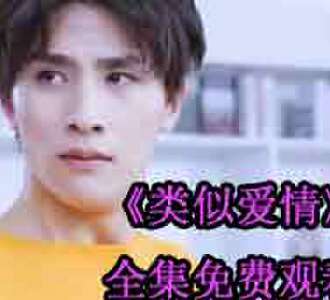 类似爱情蓝宁顾向北全集免费观看