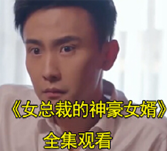 女总裁的神豪女婿1-100集全集完整版观看