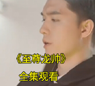 至尊龙帅1-100集全集完整版观看