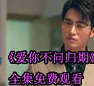 爱你不问归期乔冉厉司辰网剧免费观看