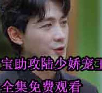 叶倾城陆霆修的小说短剧叫什么