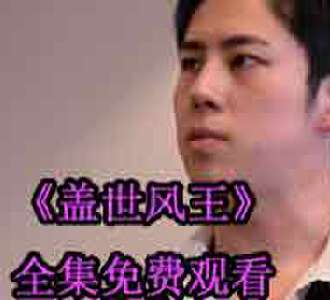 盖世风王秦风林雪雁99集完整版免费观看