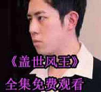 盖世风王秦风林雪雁电视剧免费观看